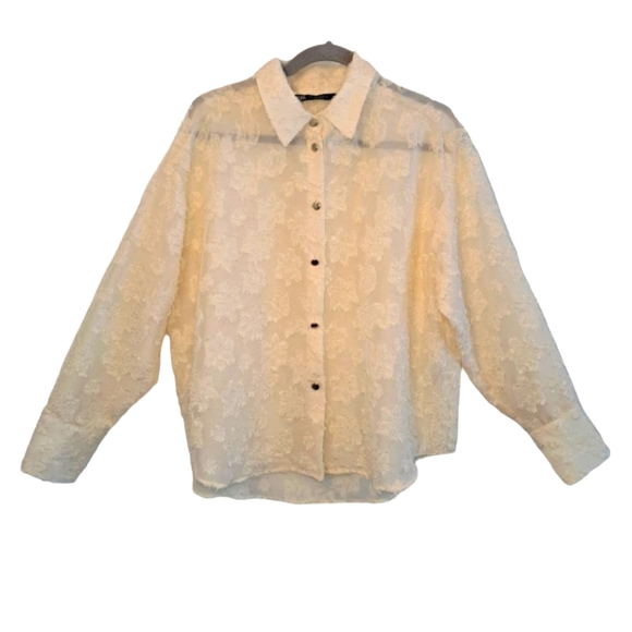 Zara Ivory Button Down Eyelash Sheer Blouse Size Large - Picture 1 of 6